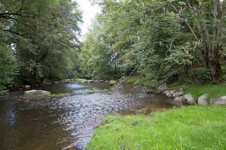 Le Moulin Du Cluzeau Villa Thollet Kültér fotó